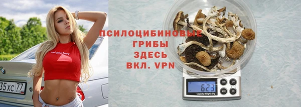 соль курить ск Богданович