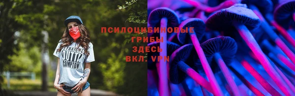 соль курить ск Богданович