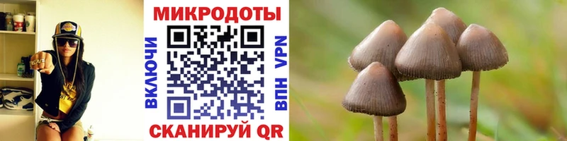 hydra как зайти  Липецк  Псилоцибиновые грибы прущие грибы 